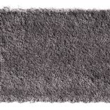 Bold Indulgence carpet - 096